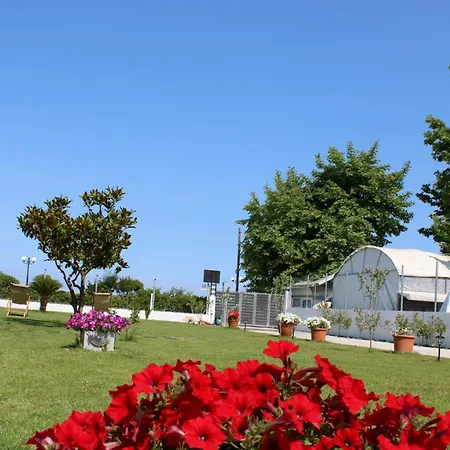 公寓 Kavadias Sea View 2 Paralía Skotínis